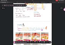 (คลิปที่2) ระบบภูมิคุ้มกัน